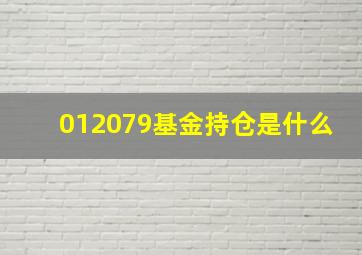 012079基金持仓是什么