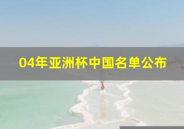 04年亚洲杯中国名单公布