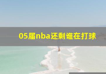 05届nba还剩谁在打球