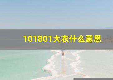 101801大衣什么意思