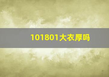 101801大衣厚吗