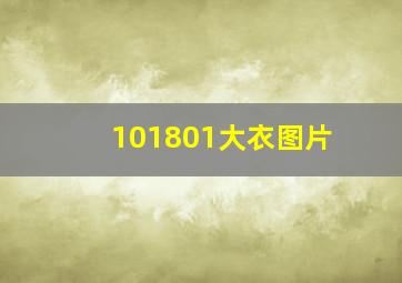 101801大衣图片