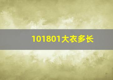 101801大衣多长