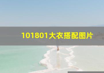 101801大衣搭配图片