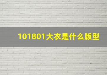 101801大衣是什么版型