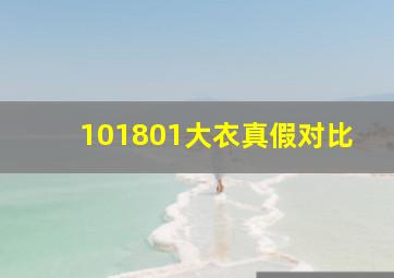 101801大衣真假对比