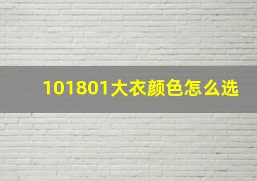 101801大衣颜色怎么选