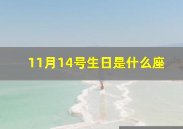 11月14号生日是什么座