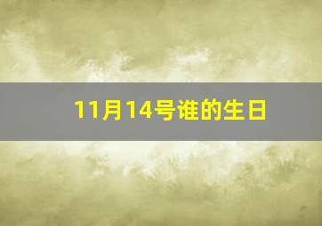 11月14号谁的生日