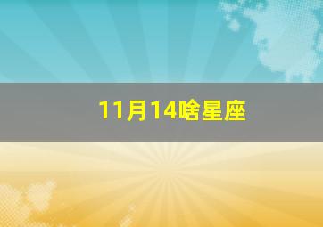 11月14啥星座