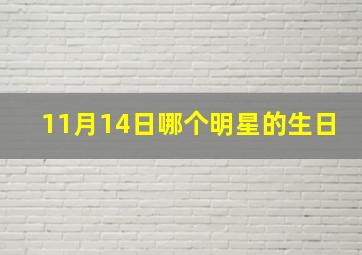 11月14日哪个明星的生日