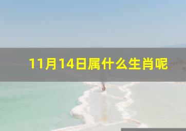 11月14日属什么生肖呢