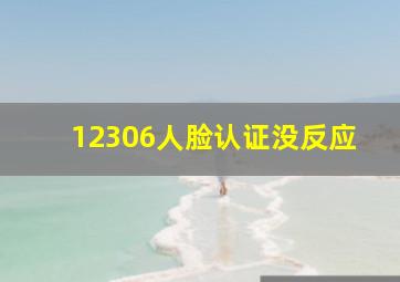 12306人脸认证没反应