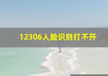 12306人脸识别打不开