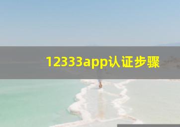 12333app认证步骤