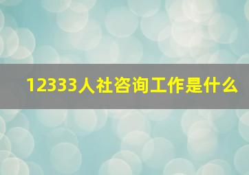 12333人社咨询工作是什么