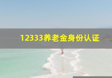 12333养老金身份认证