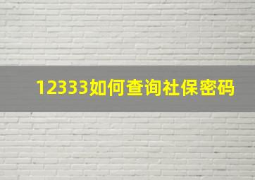 12333如何查询社保密码