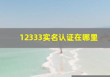 12333实名认证在哪里