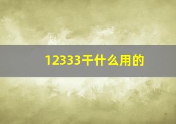 12333干什么用的