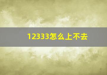 12333怎么上不去