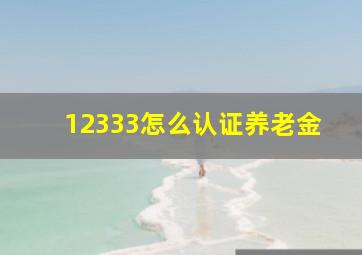 12333怎么认证养老金