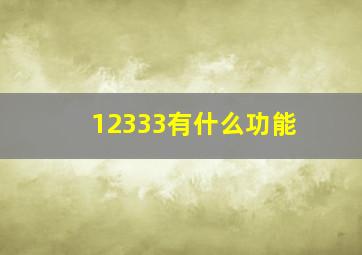 12333有什么功能