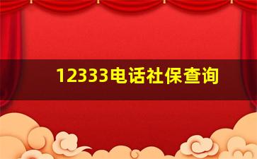 12333电话社保查询