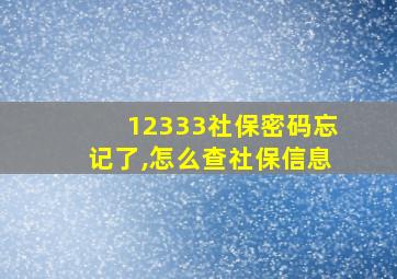 12333社保密码忘记了,怎么查社保信息