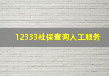 12333社保查询人工服务