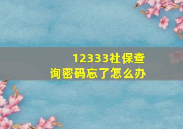 12333社保查询密码忘了怎么办