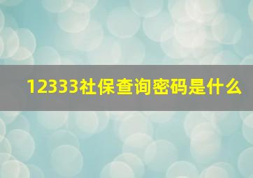 12333社保查询密码是什么