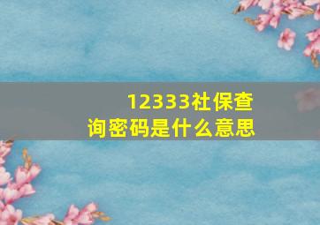 12333社保查询密码是什么意思