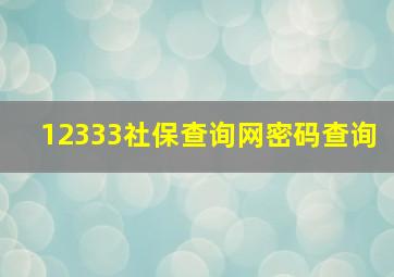 12333社保查询网密码查询