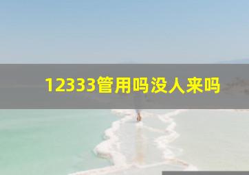 12333管用吗没人来吗