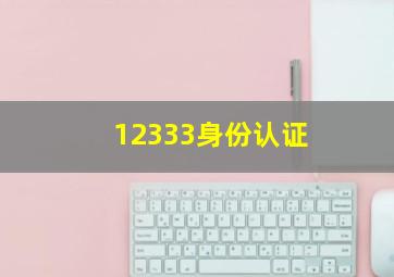 12333身份认证