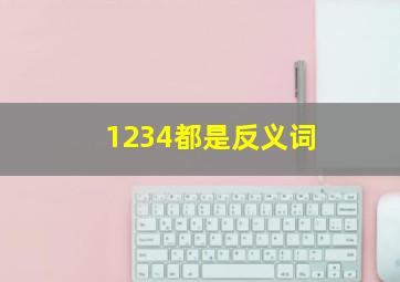 1234都是反义词