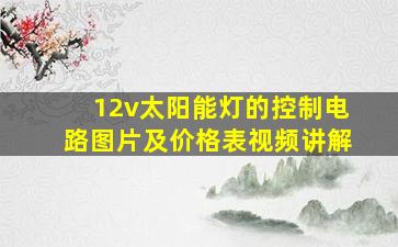 12v太阳能灯的控制电路图片及价格表视频讲解