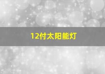 12付太阳能灯