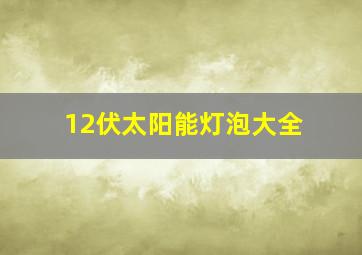 12伏太阳能灯泡大全