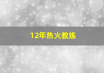 12年热火教练