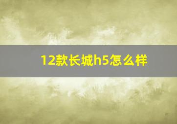 12款长城h5怎么样