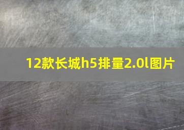 12款长城h5排量2.0l图片