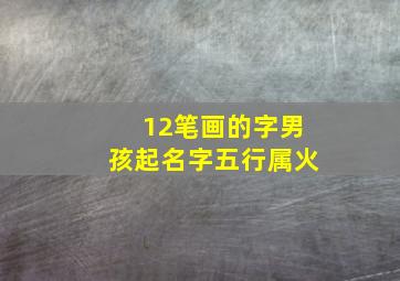 12笔画的字男孩起名字五行属火