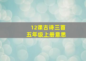 12课古诗三首五年级上册意思