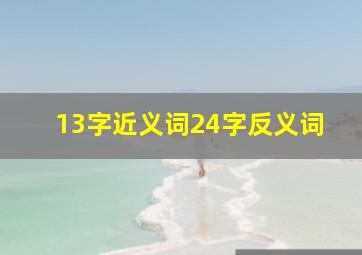 13字近义词24字反义词