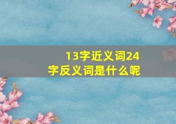 13字近义词24字反义词是什么呢