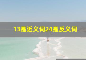 13是近义词24是反义词