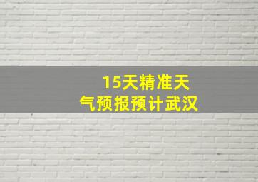 15天精准天气预报预计武汉