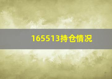 165513持仓情况